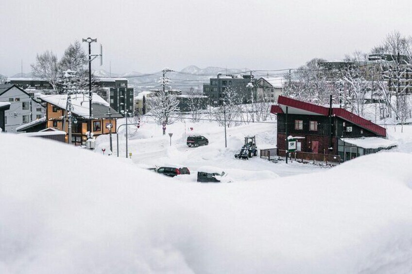 Hokkaido Niseko Ski Day Tour（Depart from Sapporo）