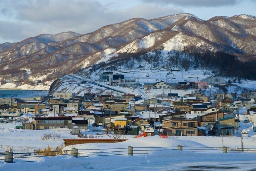 Hokkaido Niseko Ski Day Tour