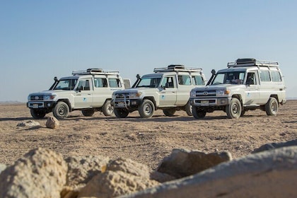 All-Day Jeep Safari by Sunset Dinner Show & Camel Ride-Marsa Alam