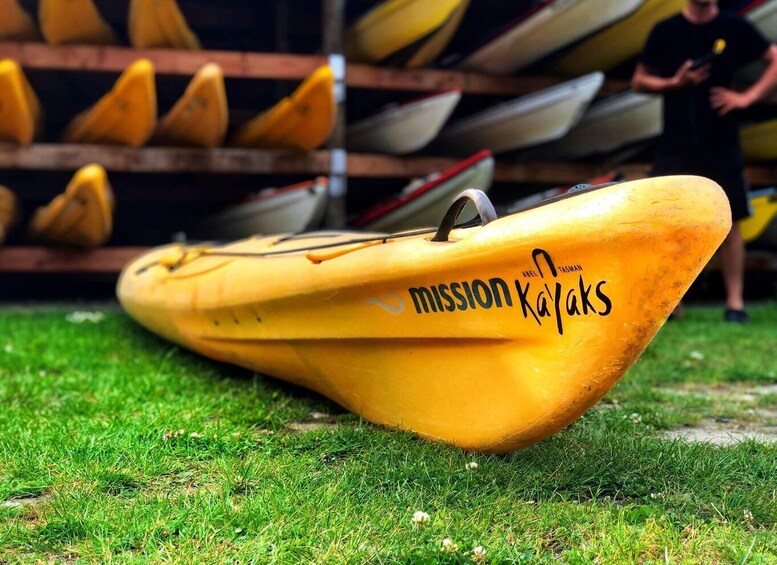 Picture 3 for Activity Abel Tasman Kayaks: 3 Day Kayak and Walk North