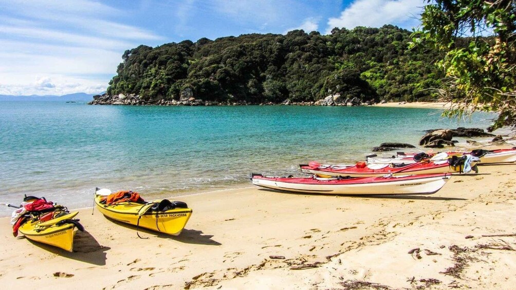 Picture 5 for Activity Abel Tasman Kayaks: 3 Day Kayak and Walk North