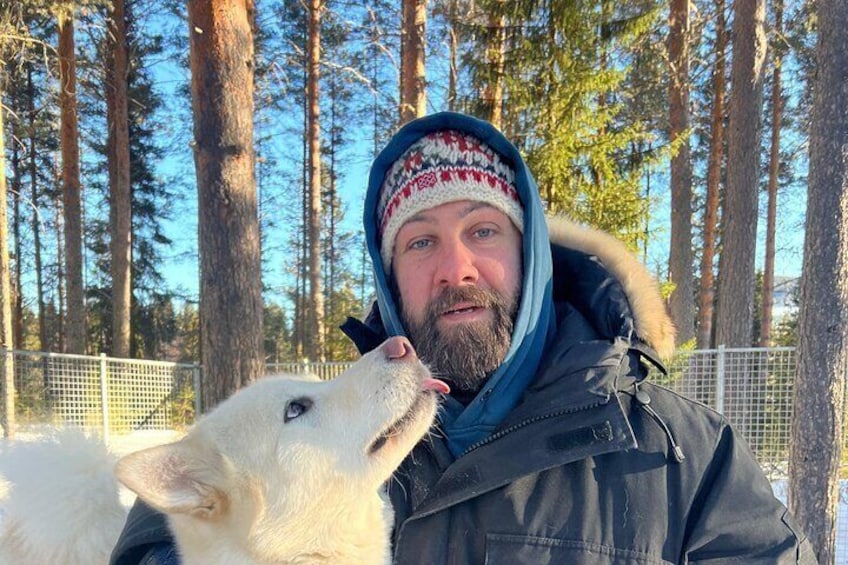 Private Sled Dogs Activity in Vidsel