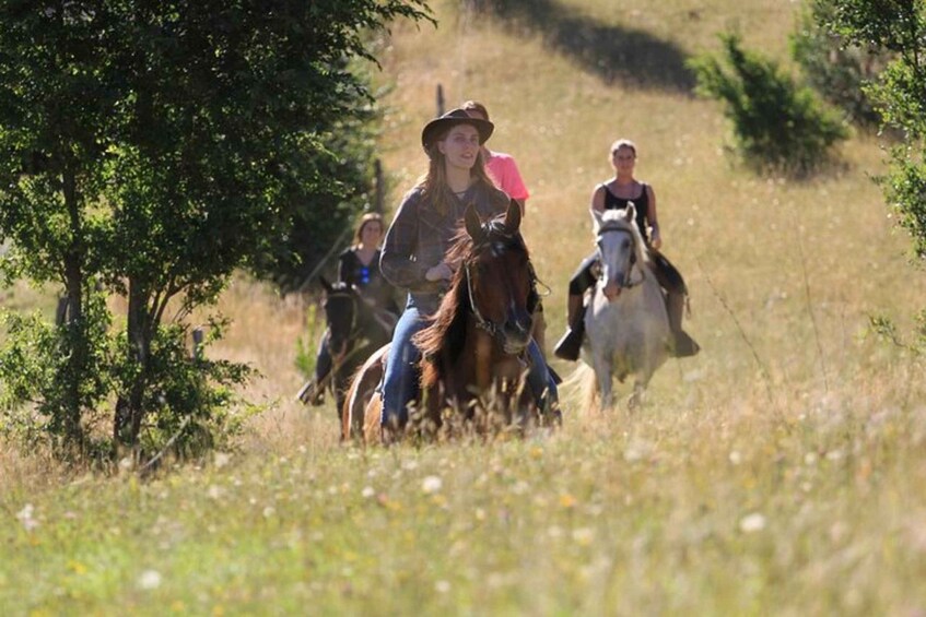 Picture 3 for Activity Pucon: Horseback Riding Tour with Waterfall Stop