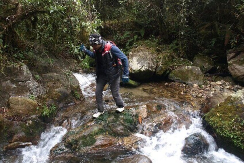Paradise Valley Tour, Fish Pedicure & Atlas Mountains - Agadir