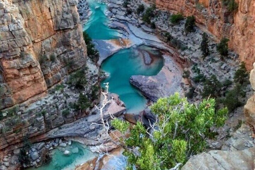 Paradise Valley Tour, Fish Pedicure & Atlas Mountains - Agadir