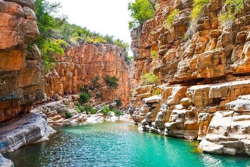 Paradise Valley Tour, Fish Pedicure & Atlas Mountains - Agadir