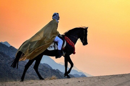 1 hour Horse Ride around Giza Pyramids