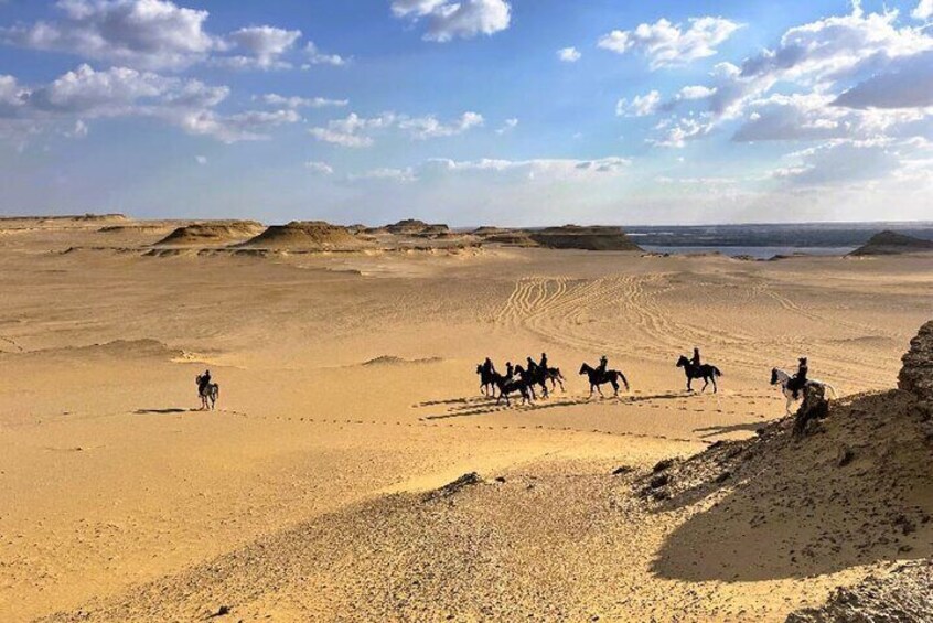  1 hour Horse Ride around Giza Pyramids