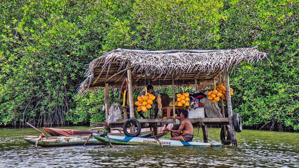 Picture 4 for Activity Madu River Boat Safari