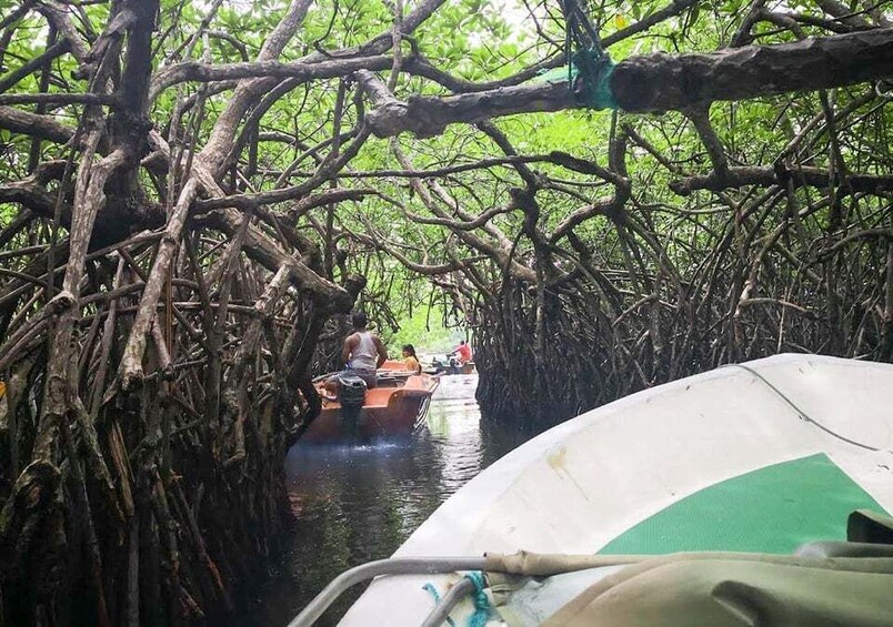 Picture 2 for Activity Madu River Boat Safari