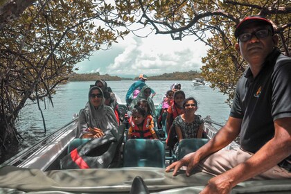 Madu River Boat Safari