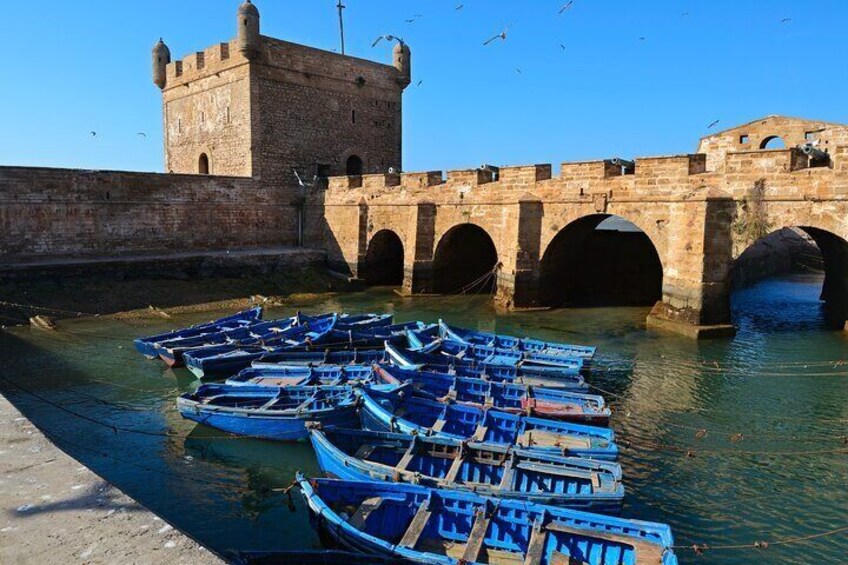 Essaouira Day Tour Adventure & Visit Historical Wonders - Agadir