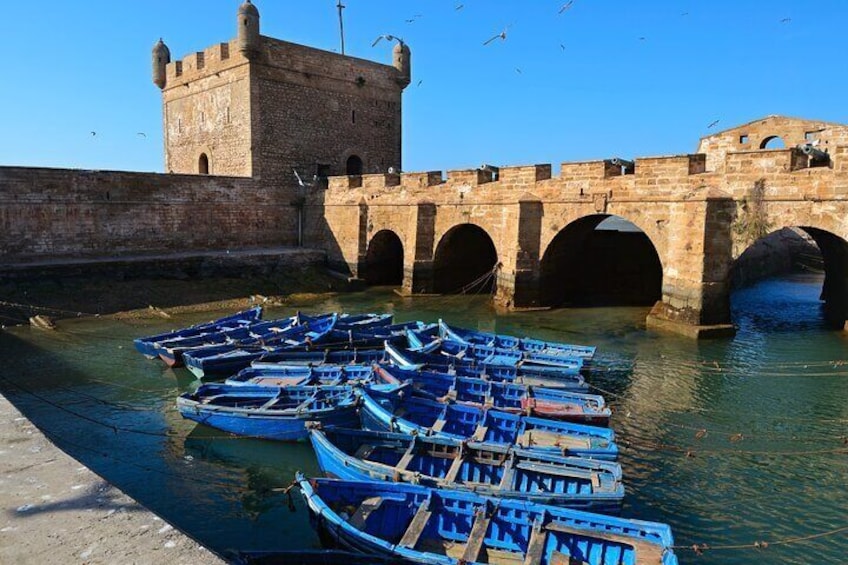 Essaouira Day Tour Adventure & Visit Historical Wonders - Agadir