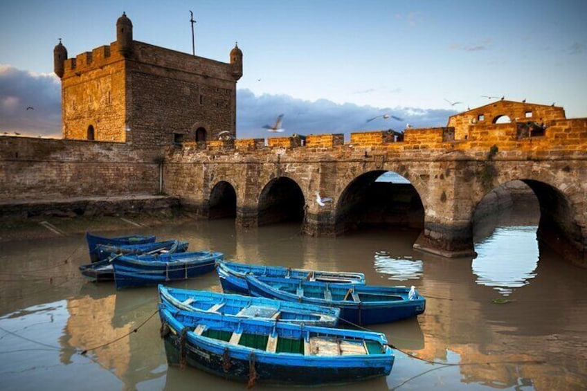 Essaouira Day Tour Adventure & Visit Historical Wonders - Agadir