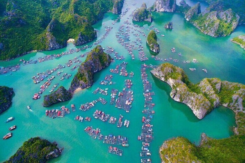 Cat Ba: D'Charme Luxury Day Cruise Explore the Best of Lan Ha Bay