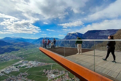 Vineyard Tour on Mount Mezzocorona and 3 Aged Wine Tasting