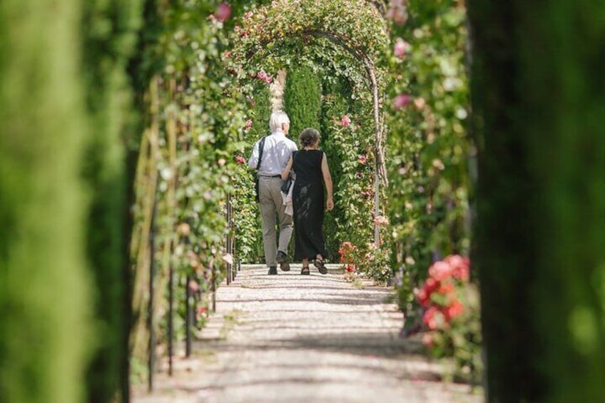 Granada and The Alhambra Private Tour From Malaga