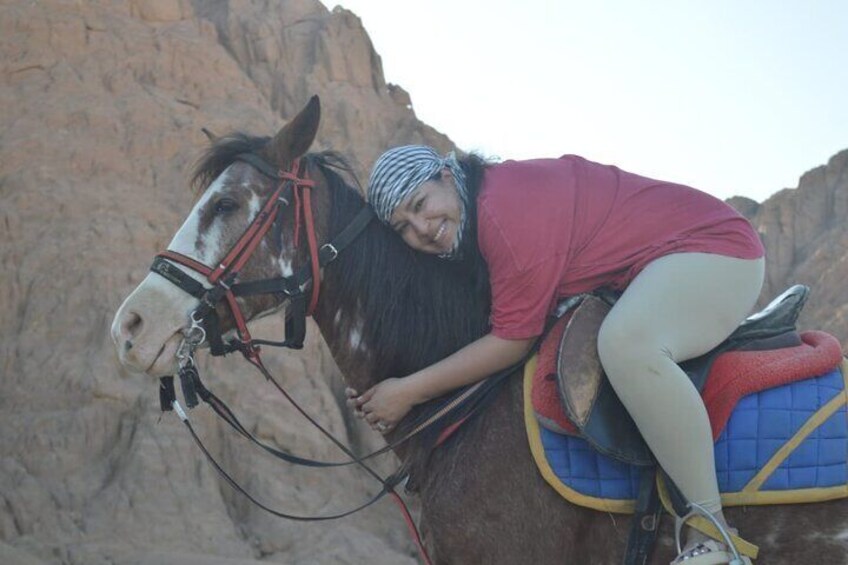 RelaxingTurkish Bath & Horse Riding Experience - Sharm El Shiekh