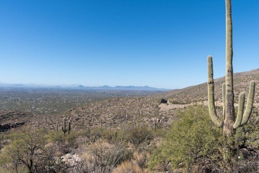 Self-Guided Audio Driving Tour of Mount Lemmon