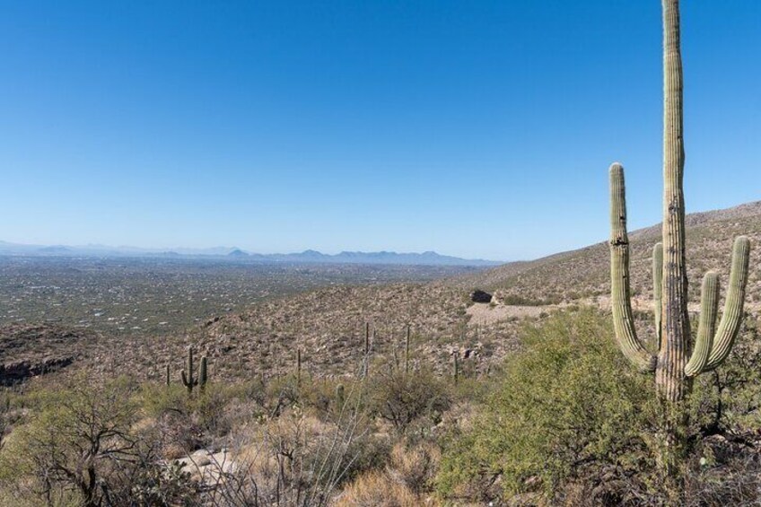 Self-Guided Audio Driving Tour of Mount Lemmon