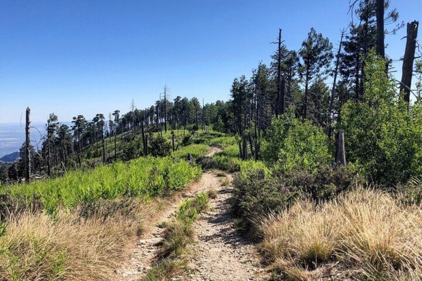 Self-Guided Audio Driving Tour of Mount Lemmon