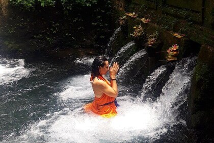 Best of Ubud Tour Combination Holy Water Cleansing