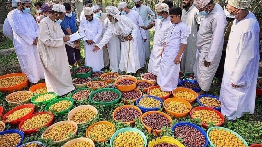 Full Day Friday Nizwa Animal Cattle Market & Jebel Akhdar Tour