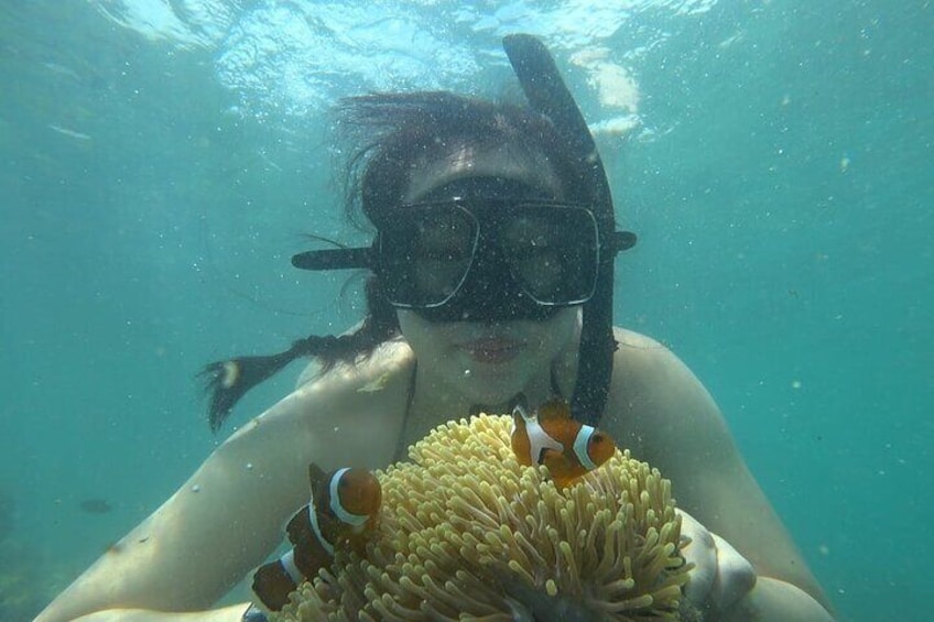 Snorkeling 