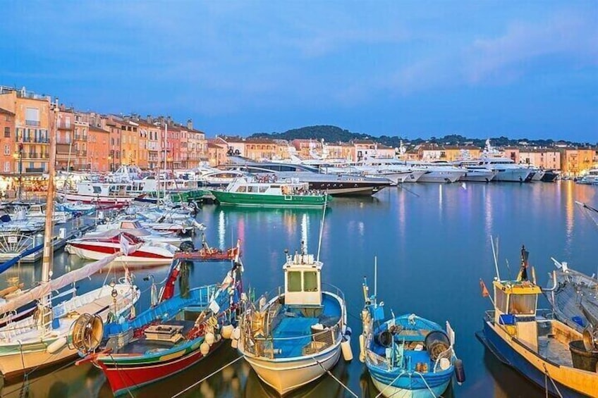 Private French Villages and Wine Tasting Tour from St. Tropez 