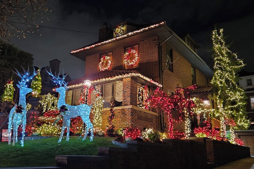 NYC: Dyker Heights Luxury Holiday Lights Tour & Hot Cocoa  