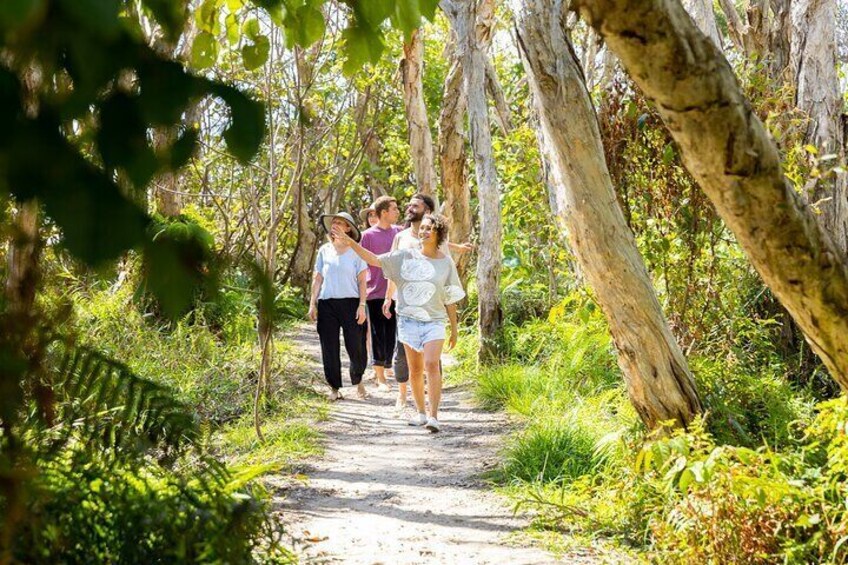 North Stradbroke Island