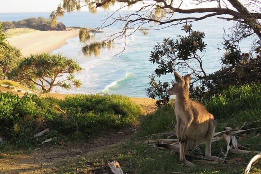 Point Lookout