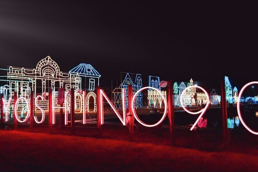 Kagoshima's Largest Winter Light Display