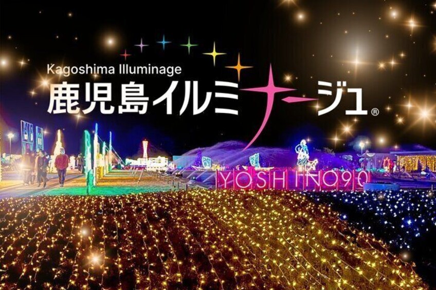 Kagoshima's Largest Winter Light Display