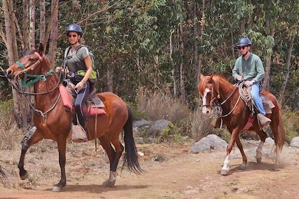 Sacred Valley: 3 Hours Horse Riding Tour at Huaypo Lagoon