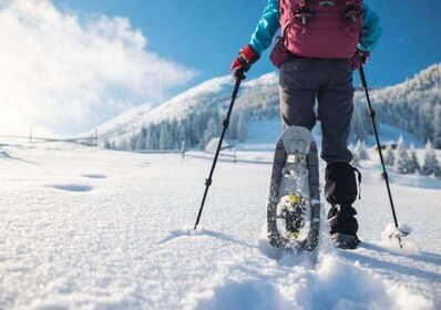 Snowshoeing in Brembana valley