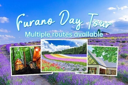 Furano & Biei Private Tour：Custom Scenic Route（from Sapporo）