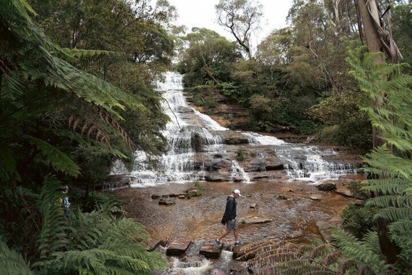 Blue Mountains Adventure with Scenic World, Falls and Zoo