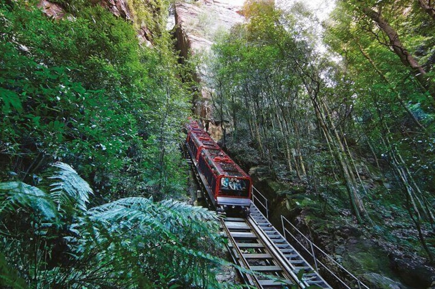 Blue Mountains Adventure with Scenic World, Falls and Zoo