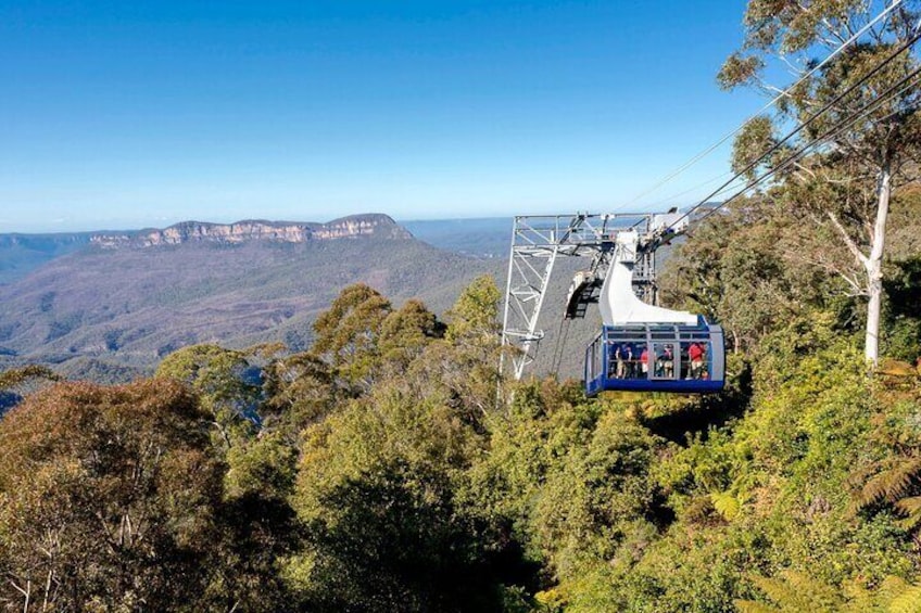 Blue Mountains Adventure with Scenic World, Falls and Zoo