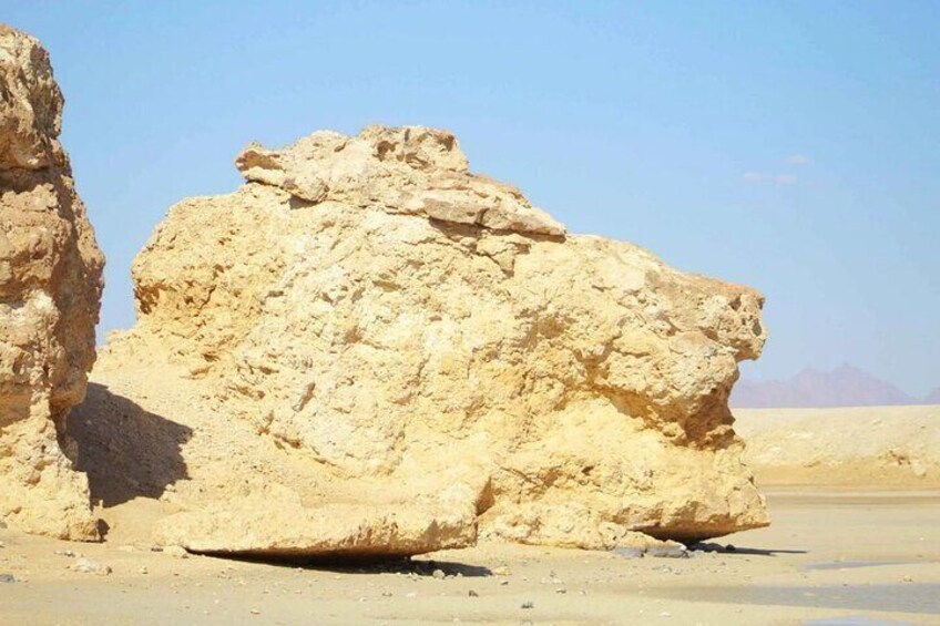 Half Day Bus tour In Sharm Ras Mohammed National Park