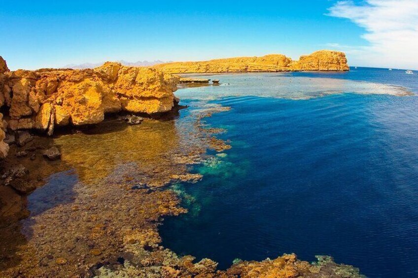 Half Day Bus tour In Sharm Ras Mohammed National Park