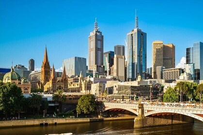 Melbourne 6hr Private Walking Tour with Licensed Guide