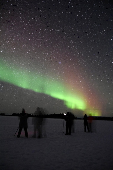 Picture 4 for Activity Saariselkä: Aurora Hunting Tour with Northern Lights Experts