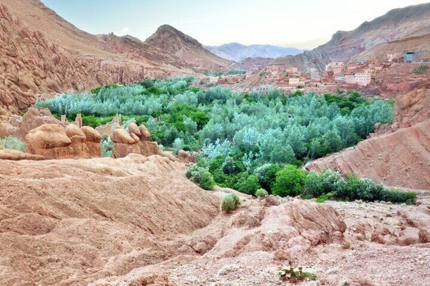 11 days trip imperial cities & beach &desert and atlas mountains