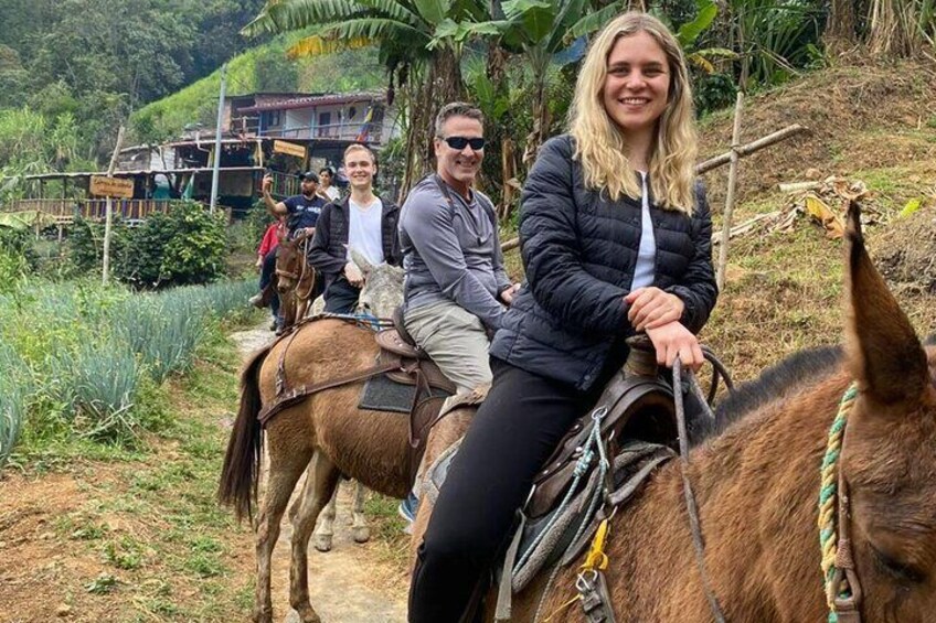 Private Coffee & Panel Tour Near Medellin All Inclusive