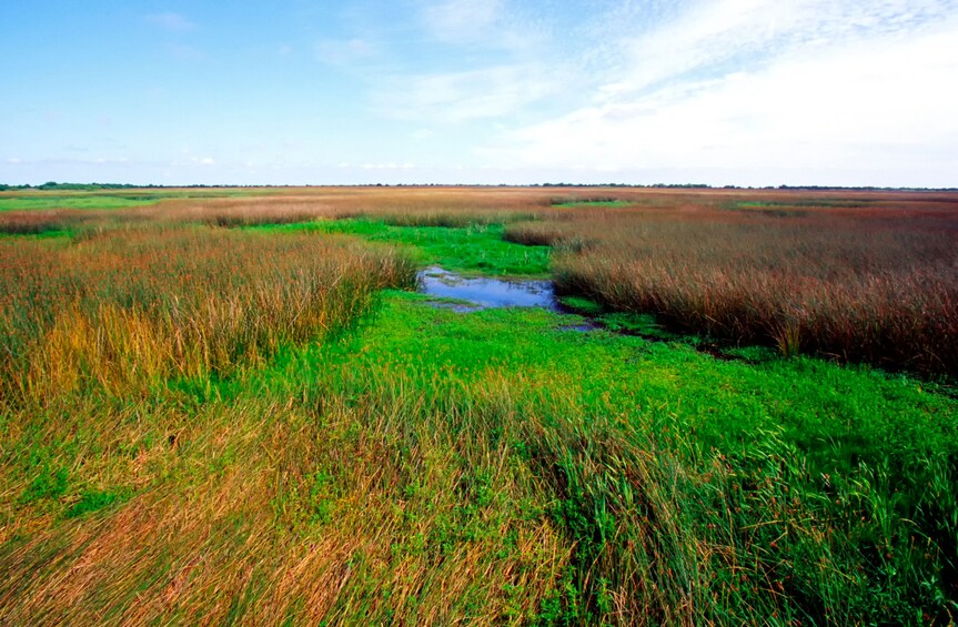 Creole Nature Trail Self-Guided Driving Audio Tour 