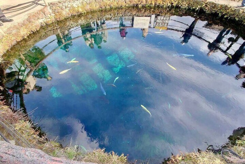 Several ponds with different color of Koi fishes at Oshino Hakkai 