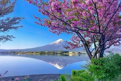 Mt fuji & Hakone tilpasselige dagstur w / engelsktalende chauffør