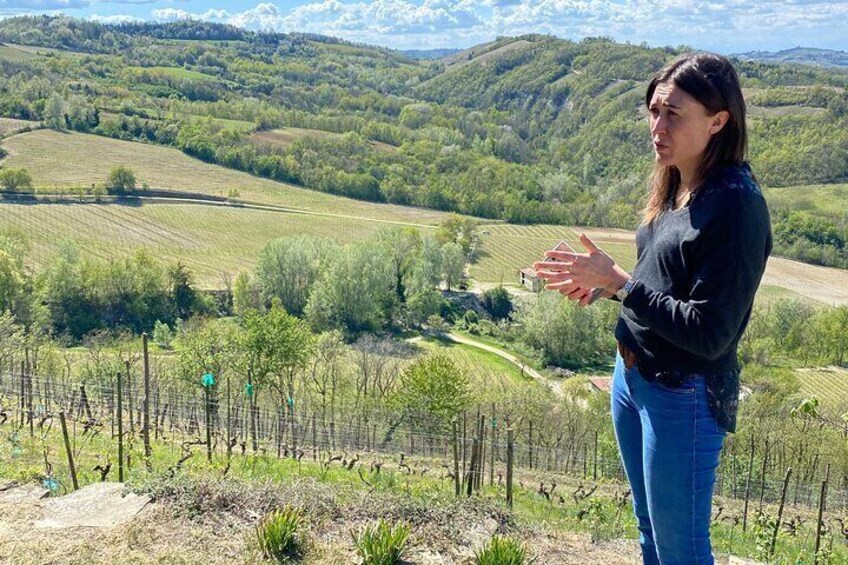 Authentic Piedmont wine tour with a local Sommelier